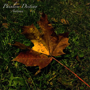 教官趴双腿吸核花蜜水
