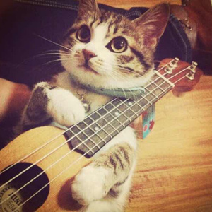 教官趴双腿吸核花蜜水
