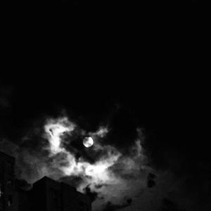 教官趴双腿吸核花蜜水
